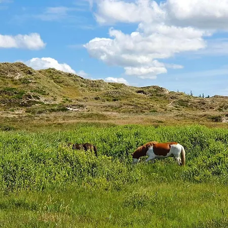 5 Person In * Norre Nebel