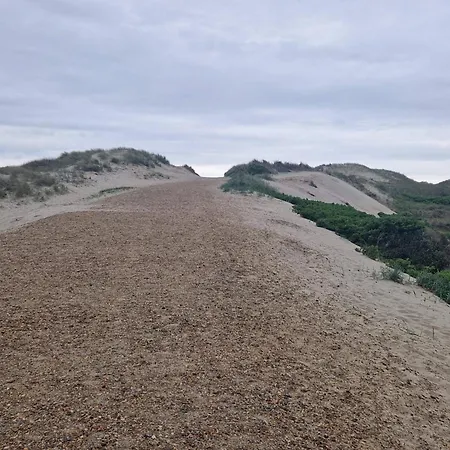 5 Person In * Norre Nebel