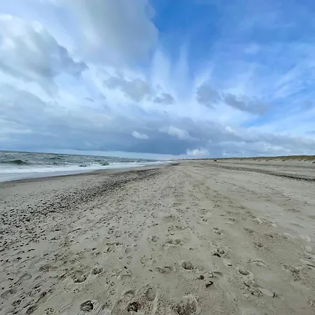 5 Person In *