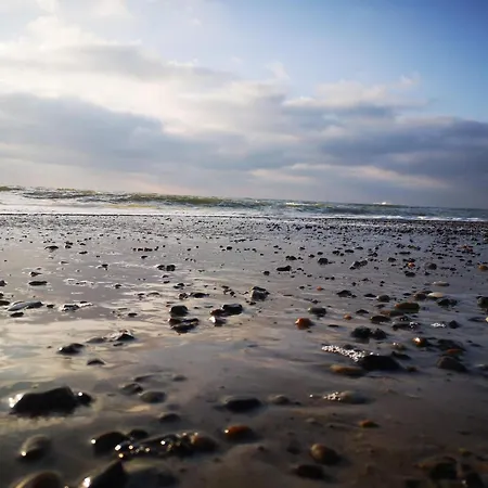 Дом отдыха 5 Person In *