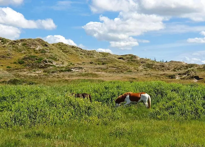 5 Person In * Nørre Nebel
