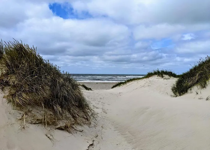 5 Person In Nørre Nebel
