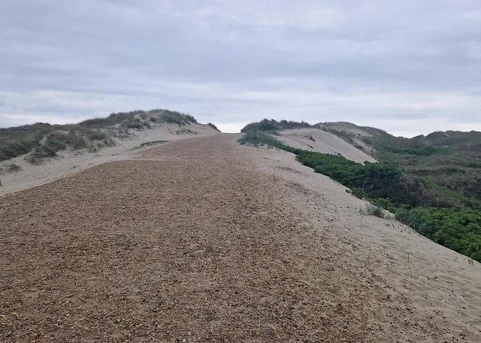 5 Person In * Nørre Nebel