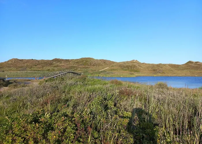 5 Person In * Nørre Nebel